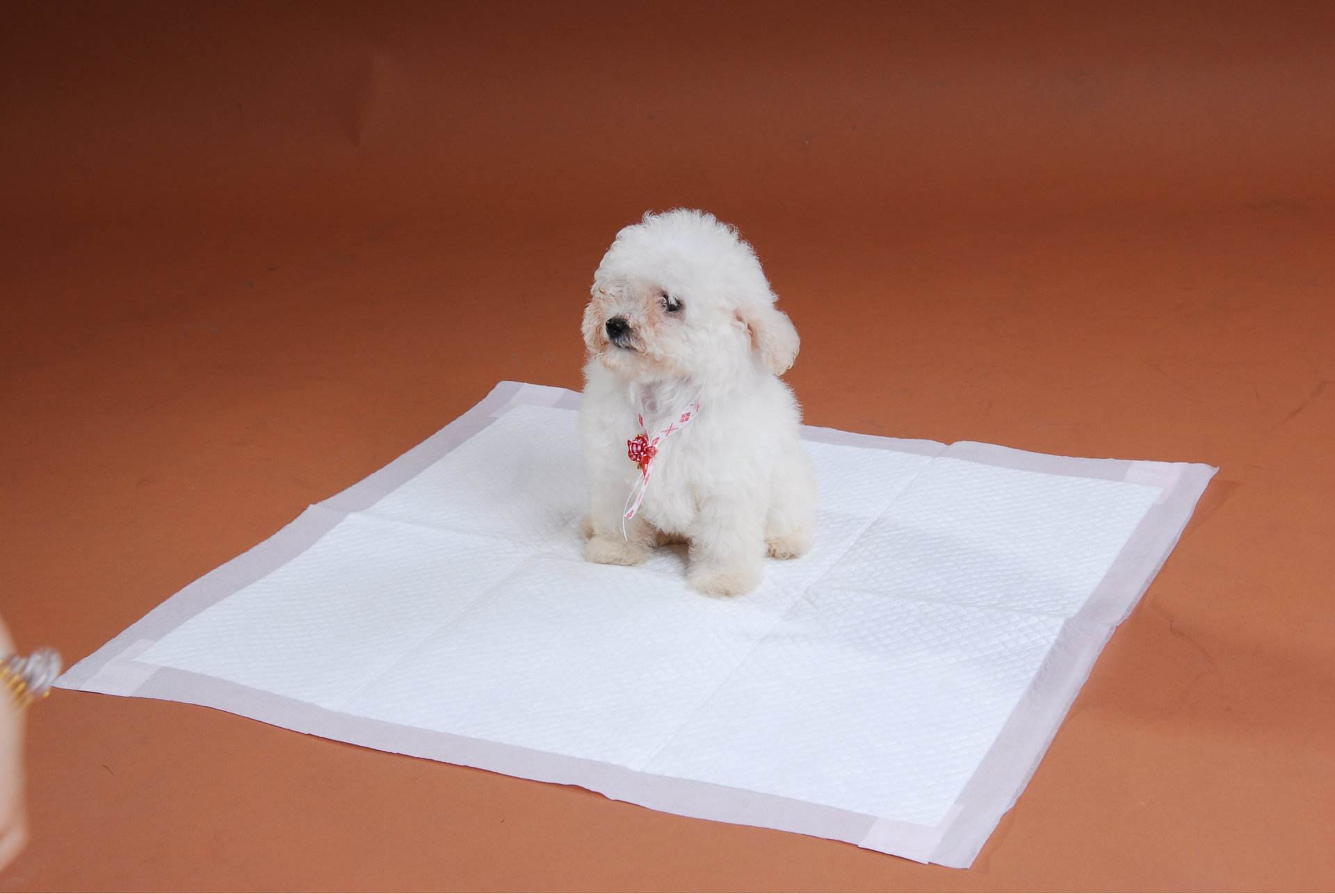 pet pad nonwoven fabric