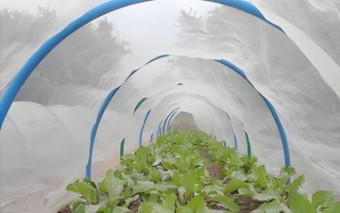 agriculture fabric for vegetable