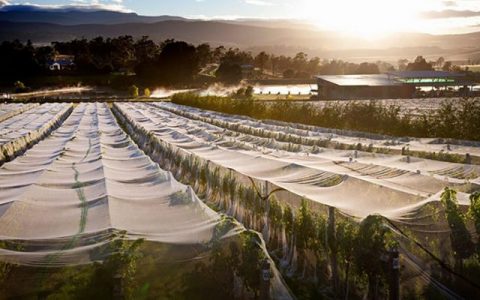 agriculturefabric1