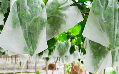 agriculturenonwoven (6)